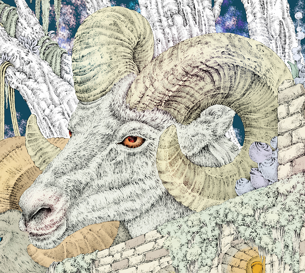 illustration