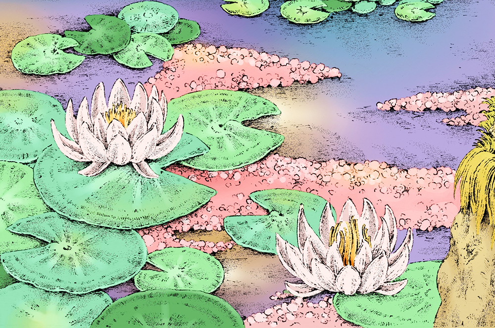 illustration