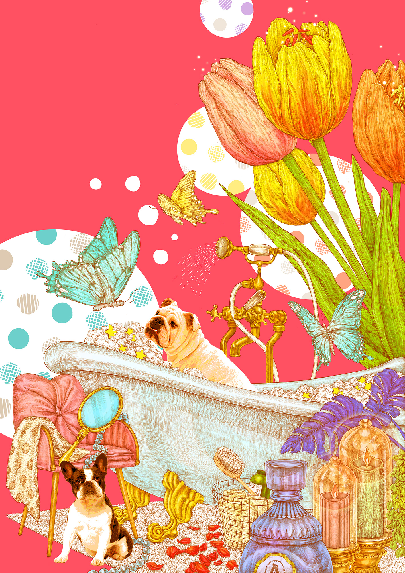illustration
