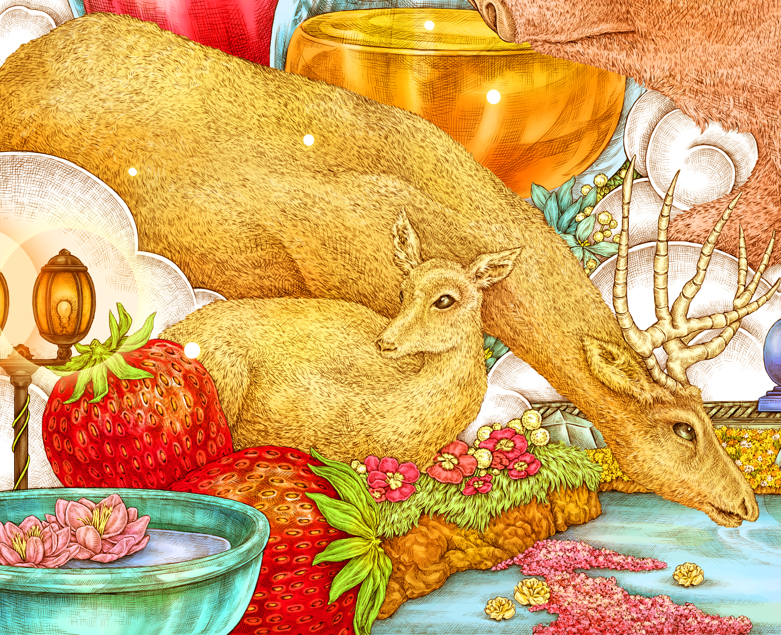 illustration